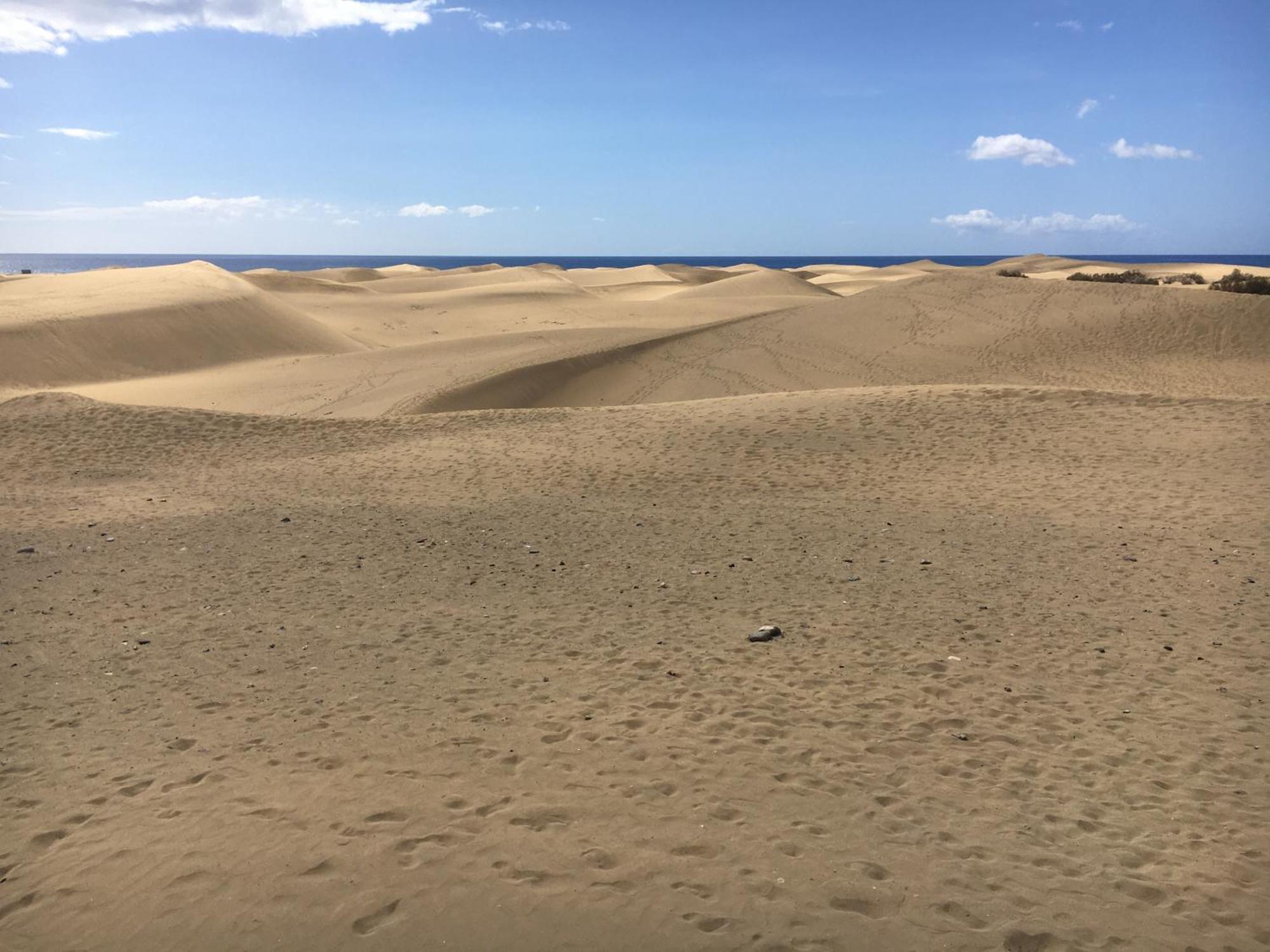شقة Casakash Sonnenland ماسبالوماس المظهر الخارجي الصورة